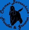 logo Carmen Barrachina